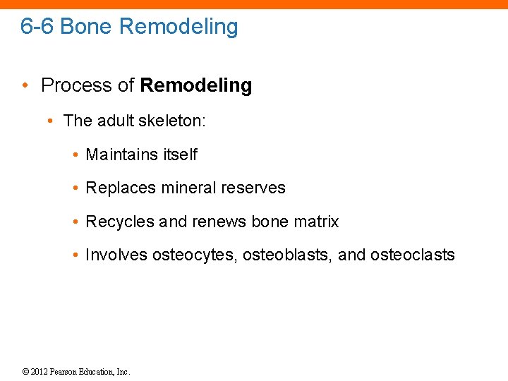 6 -6 Bone Remodeling • Process of Remodeling • The adult skeleton: • Maintains