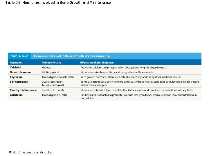 Table 6 -2 Hormones Involved in Bone Growth and Maintenance © 2012 Pearson Education,