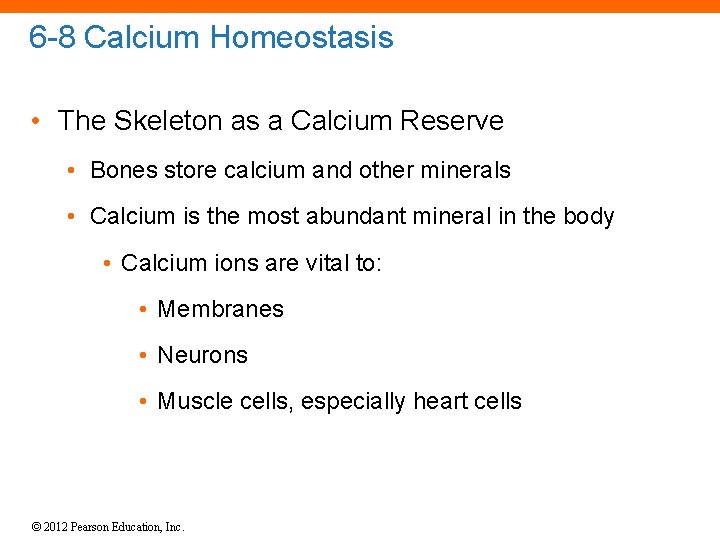 6 -8 Calcium Homeostasis • The Skeleton as a Calcium Reserve • Bones store