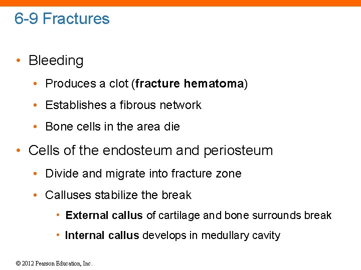 6 -9 Fractures • Bleeding • Produces a clot (fracture hematoma) • Establishes a