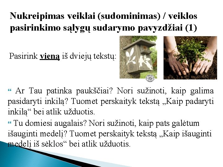 Nukreipimas veiklai (sudominimas) / veiklos pasirinkimo sąlygų sudarymo pavyzdžiai (1) Pasirink vieną iš dviejų