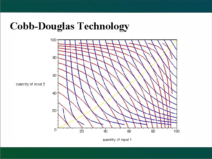Cobb-Douglas Technology 