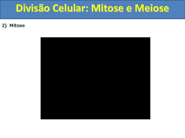 Divisão Celular: Mitose e Meiose 2) Mitose 