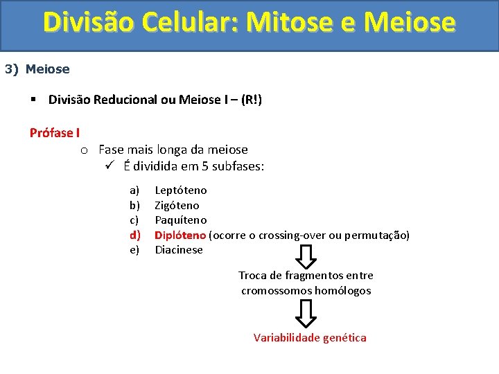 Divisão Celular: Mitose e Meiose 3) Meiose § Divisão Reducional ou Meiose I –