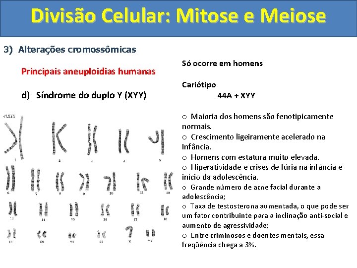 Divisão Celular: Mitose e Meiose 3) Alterações cromossômicas Principais aneuploidias humanas d) Síndrome do