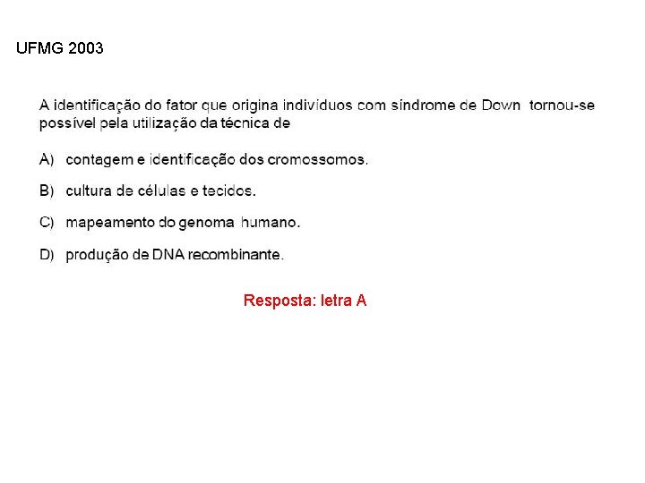 UFMG 2003 INTERFASE QUE PRECEDE A DIVISÃO Resposta: letra A 