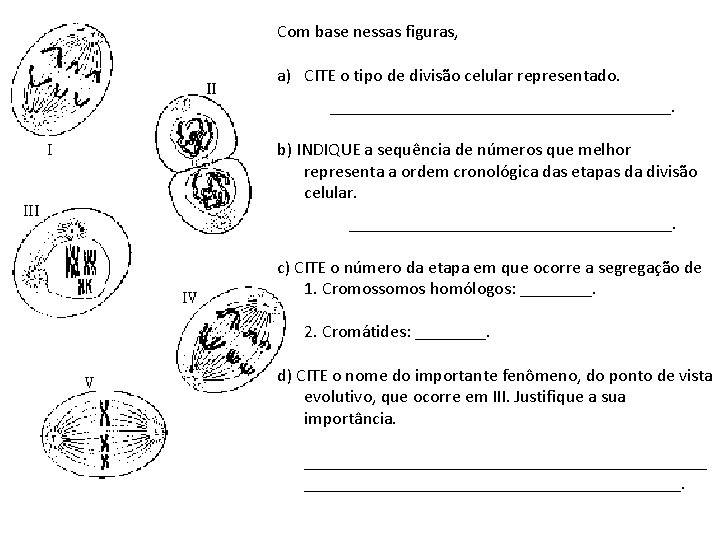 Com base nessas figuras, a) CITE o tipo de divisão celular representado. ___________________. INTERFASE