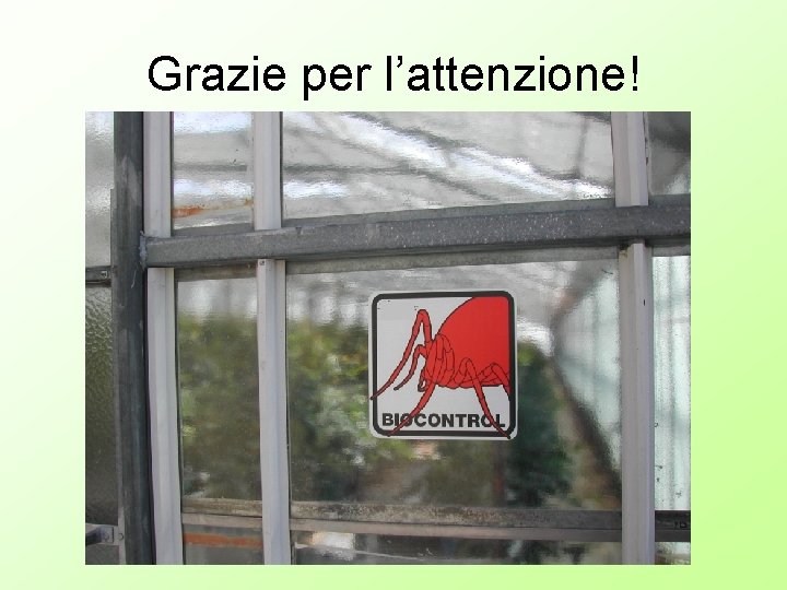 Grazie per l’attenzione! 