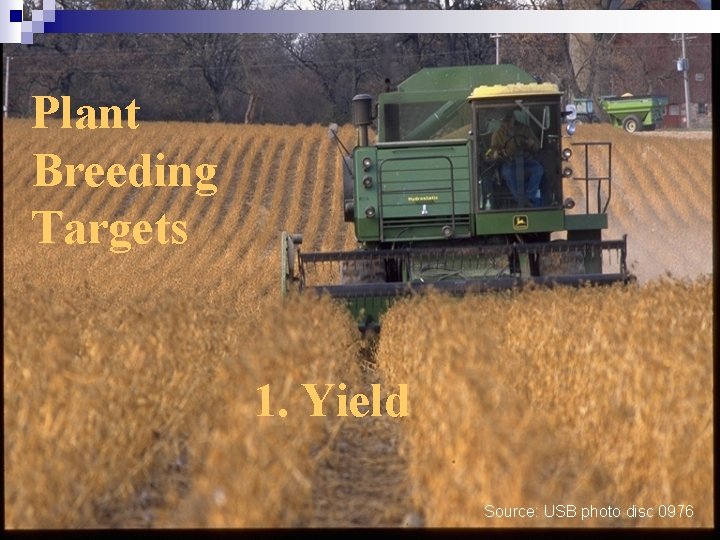Plant Breeding Targets 1. Yield Source: USB photo disc 0976 