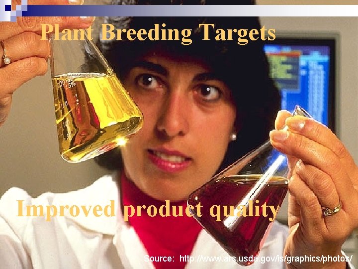 Plant Breeding Targets Improved product quality Source: http: //www. ars. usda. gov/is/graphics/photos/ 