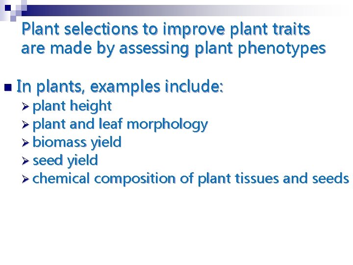 Plant selections to improve plant traits are made by assessing plant phenotypes n In