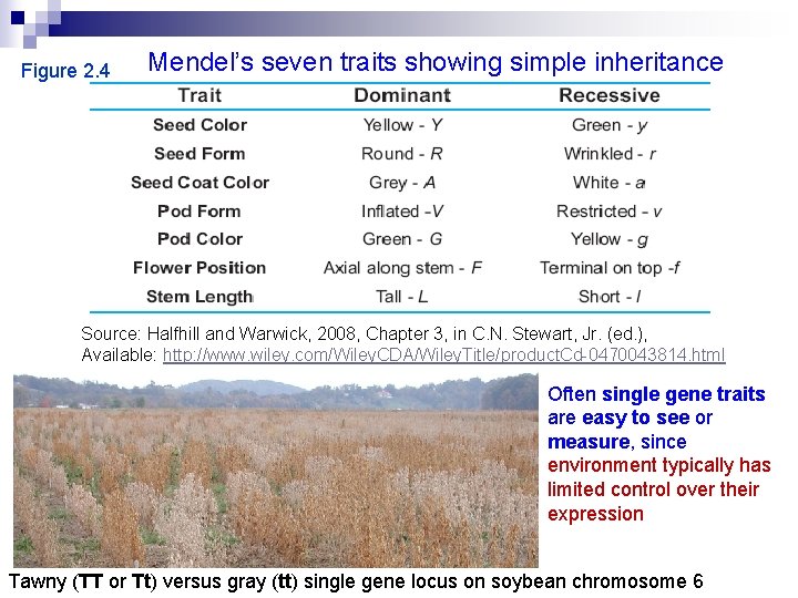 Figure 2. 4 Mendel’s seven traits showing simple inheritance Source: Halfhill and Warwick, 2008,