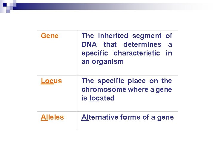 Gene The inherited segment of DNA that determines a specific characteristic in an organism