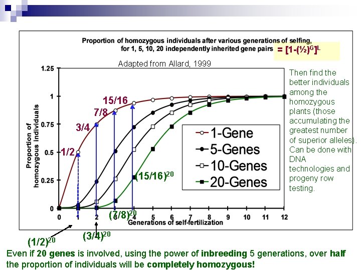 = [1 -(½)G]L Adapted from Allard, 1999 15/16 7/8 3/4 1/2 (15/16)20 Then find