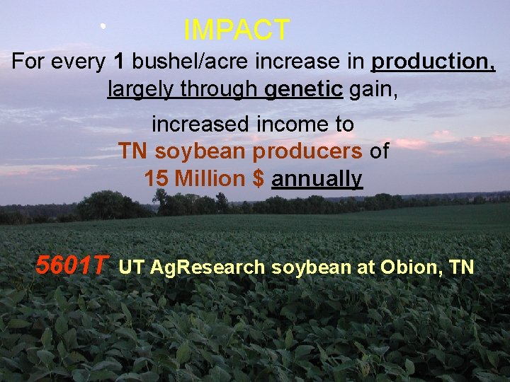 IMPACT For every 1 bushel/acre increase in production, largely through genetic gain, increased income