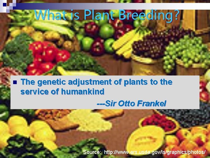 What is Plant Breeding? n The genetic adjustment of plants to the service of