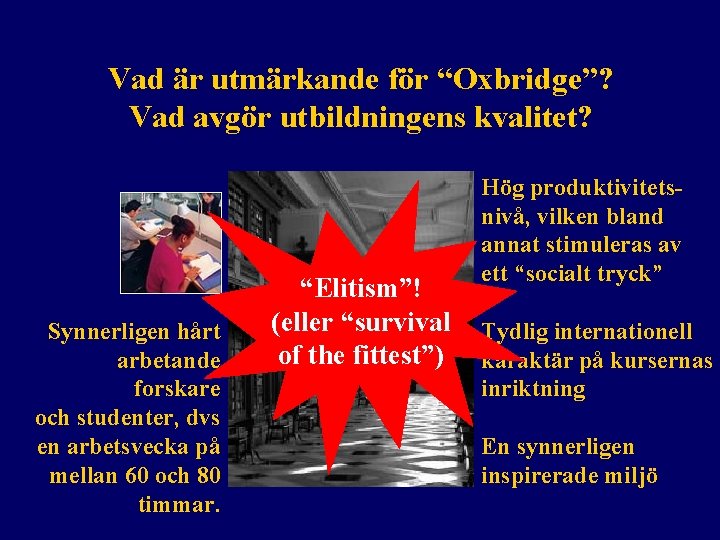 Vad är utmärkande för “Oxbridge”? Vad avgör utbildningens kvalitet? Synnerligen hårt arbetande forskare och