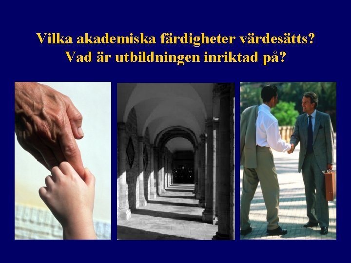 Vilka akademiska färdigheter värdesätts? Vad är utbildningen inriktad på? 