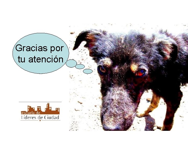 Gracias por tu atención 