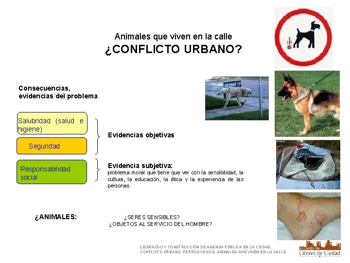 Animales que viven en la calle ¿CONFLICTO URBANO? Consecuencias, evidencias del problema Salubridad (salud