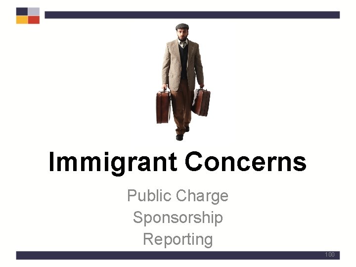 Immigrant Concerns Public Charge Sponsorship Reporting 100 