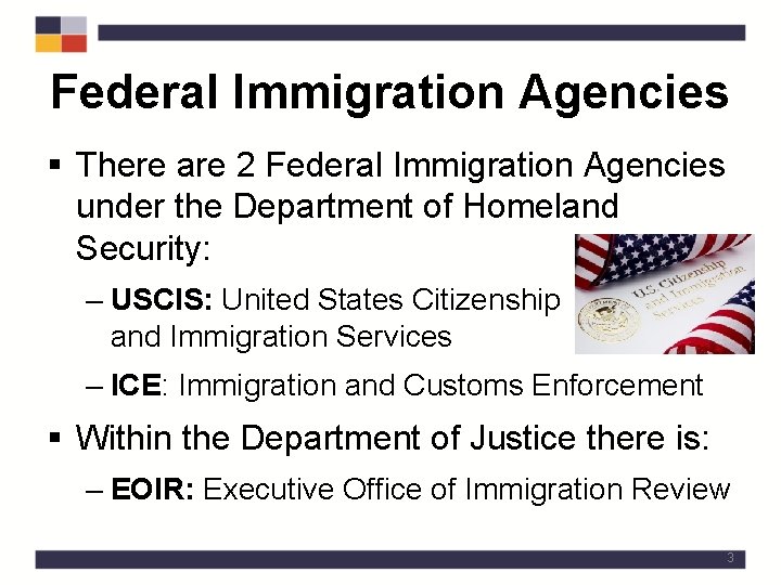 Federal Immigration Agencies § There are 2 Federal Immigration Agencies under the Department of