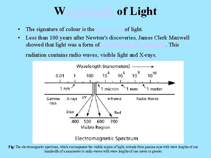 Wavelength of Light • The signature of colour is the wavelength of light. •