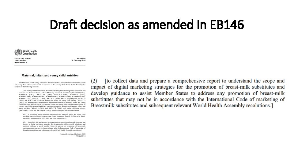 Draft decision as amended in EB 146 