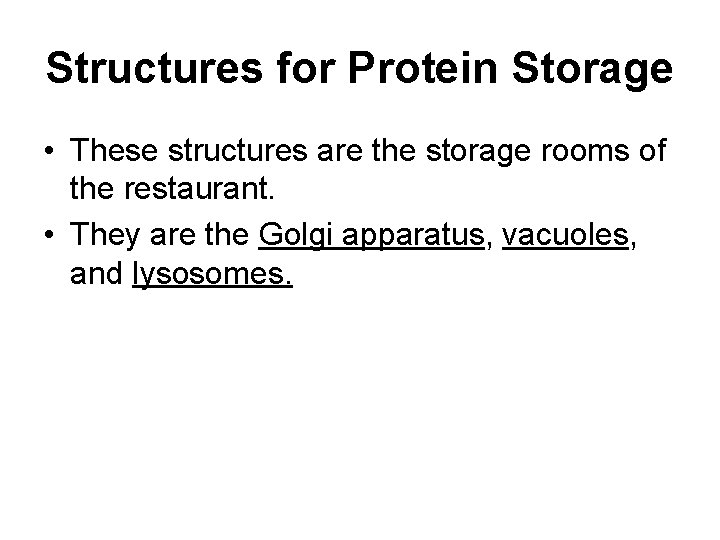 Structures for Protein Storage • These structures are the storage rooms of the restaurant.