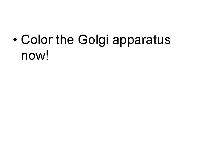  • Color the Golgi apparatus now! 