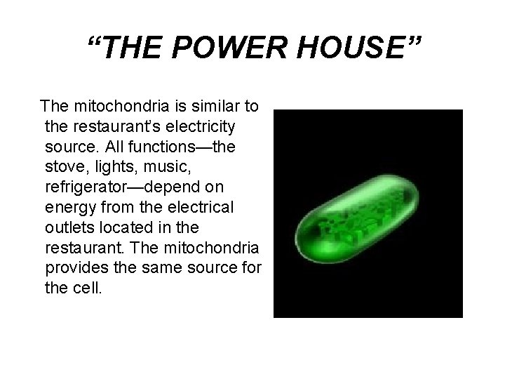 “THE POWER HOUSE” The mitochondria is similar to the restaurant’s electricity source. All functions—the