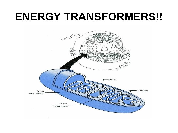 ENERGY TRANSFORMERS!! 