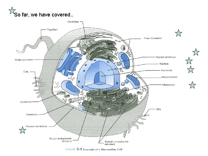 So far, we have covered. . 