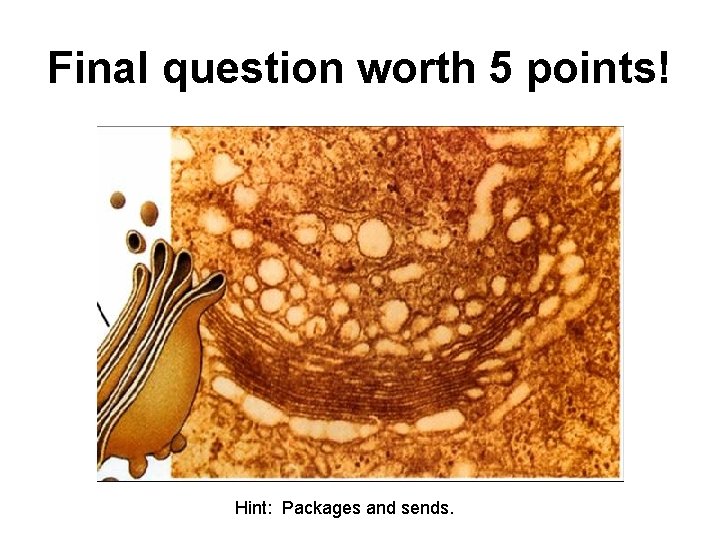 Final question worth 5 points! Hint: Packages and sends. 