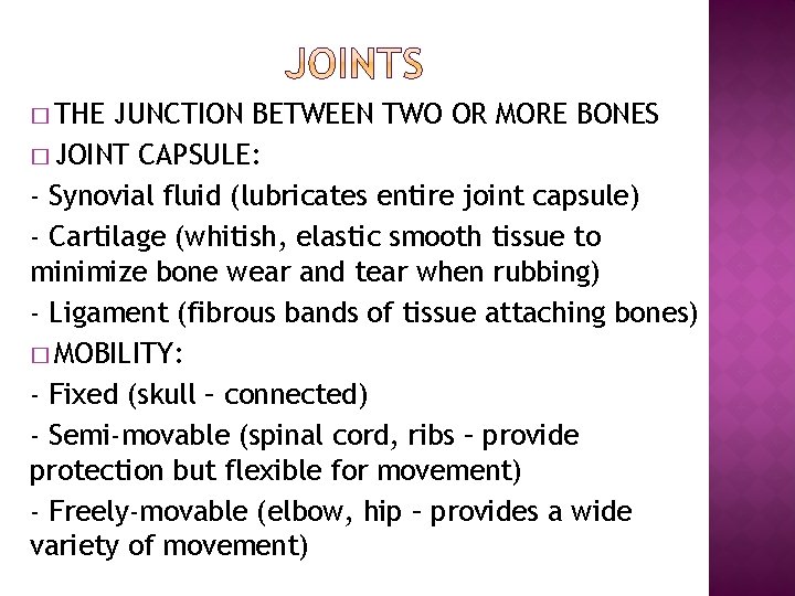 � THE JUNCTION BETWEEN TWO OR MORE BONES � JOINT CAPSULE: - Synovial fluid