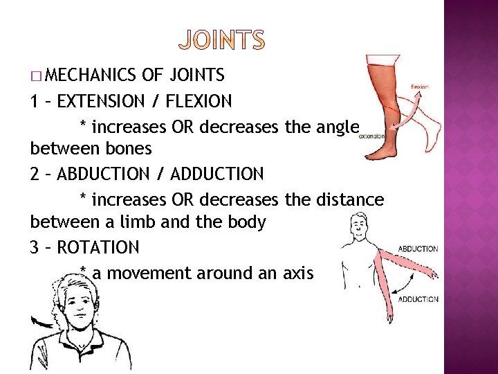 � MECHANICS OF JOINTS 1 – EXTENSION / FLEXION * increases OR decreases the