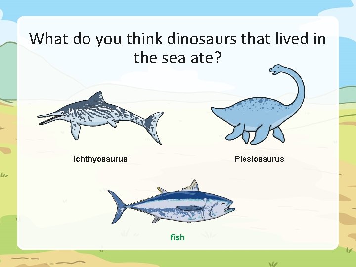 What do you think dinosaurs that lived in the sea ate? Ichthyosaurus Plesiosaurus fish