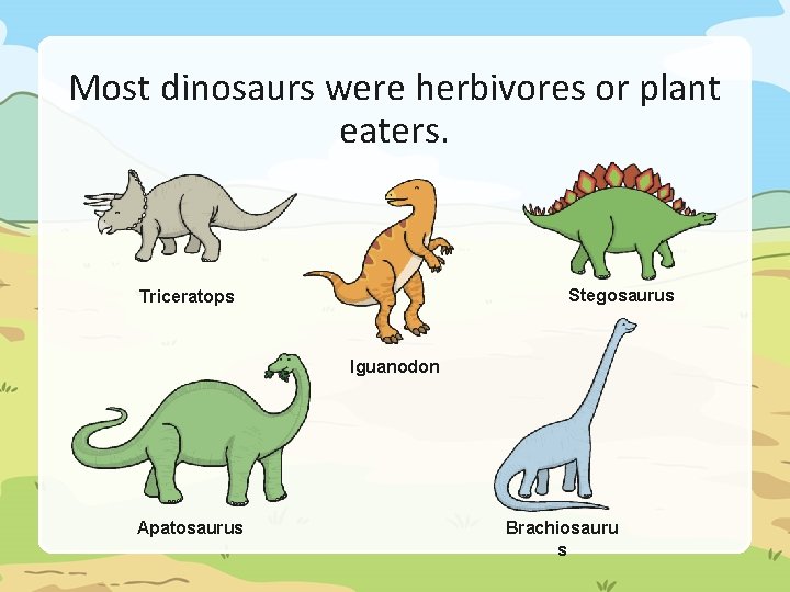 Most dinosaurs were herbivores or plant eaters. Stegosaurus Triceratops Iguanodon Apatosaurus Brachiosauru s 