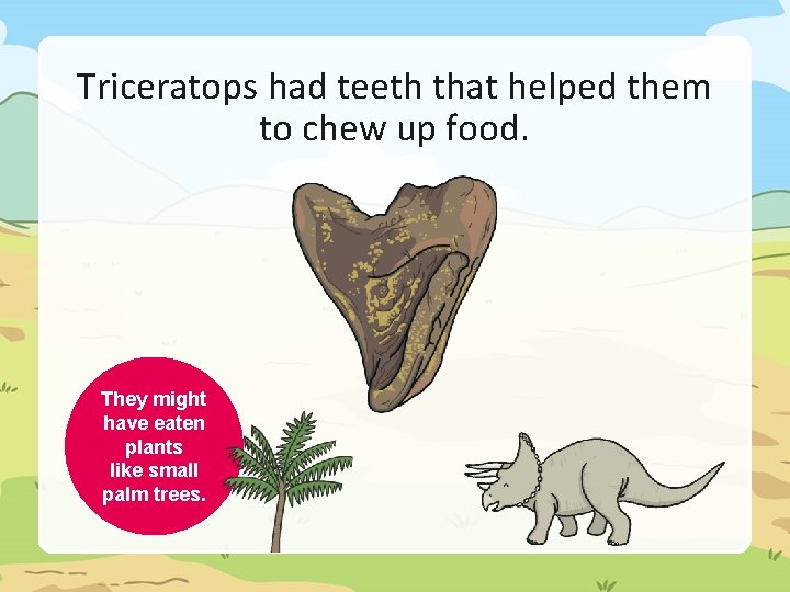 Triceratops had teeth that helped them to chew up food. They might have eaten