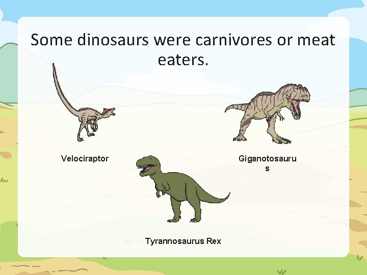 Some dinosaurs were carnivores or meat eaters. Giganotosauru s Velociraptor Tyrannosaurus Rex 