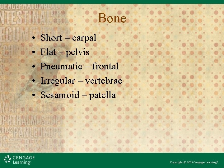 Bone • • • Short – carpal Flat – pelvis Pneumatic – frontal Irregular