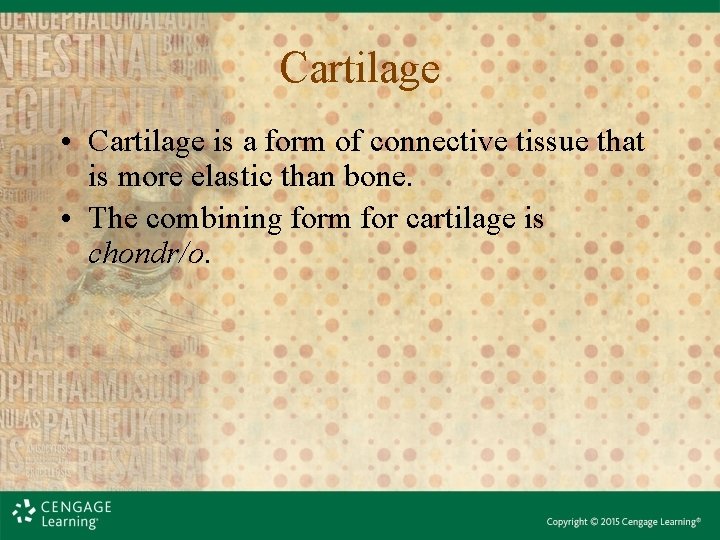 Cartilage • Cartilage is a form of connective tissue that is more elastic than