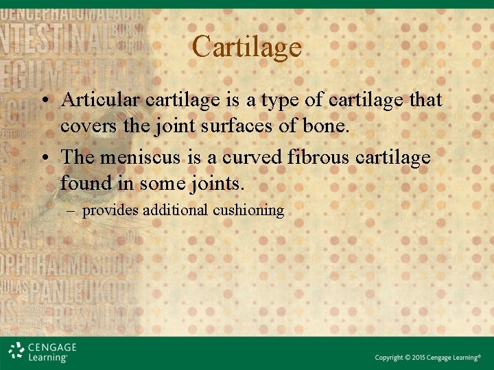 Cartilage • Articular cartilage is a type of cartilage that covers the joint surfaces