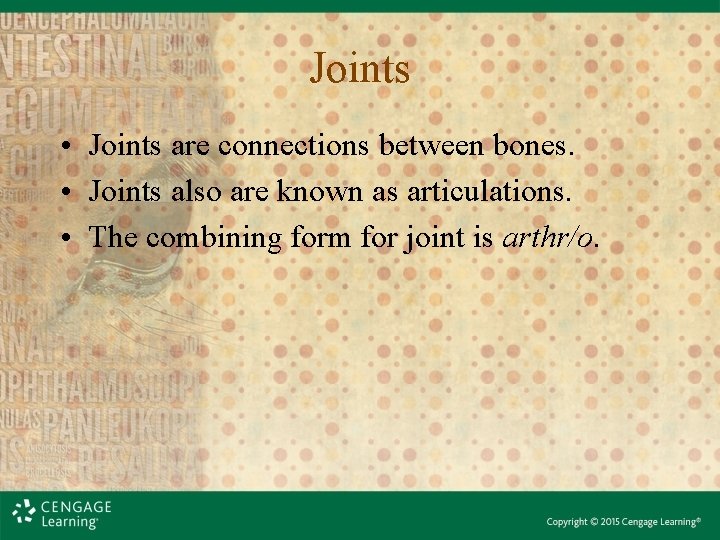 Joints • Joints are connections between bones. • Joints also are known as articulations.