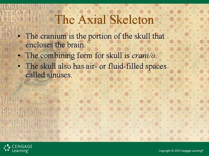The Axial Skeleton • The cranium is the portion of the skull that encloses