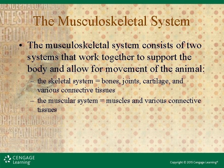 The Musculoskeletal System • The musculoskeletal system consists of two systems that work together