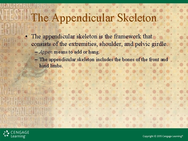 The Appendicular Skeleton • The appendicular skeleton is the framework that consists of the
