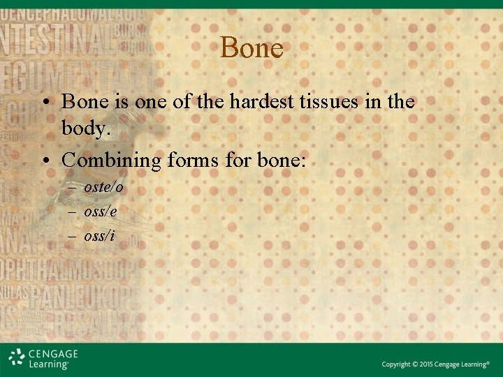 Bone • Bone is one of the hardest tissues in the body. • Combining