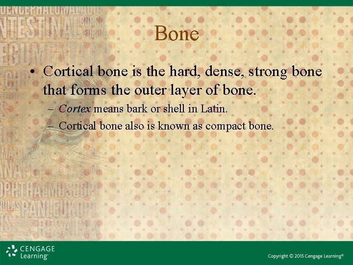 Bone • Cortical bone is the hard, dense, strong bone that forms the outer