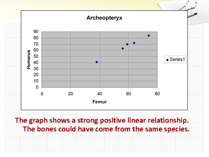 The graph shows a strong positive linear relationship. The bones could have come from